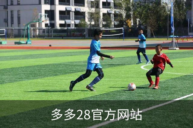 多多28官方网站公司简介图片